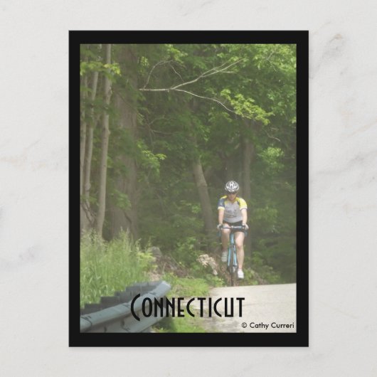 Pachaug State Forest, CT. Briefkaart (Voorkant)