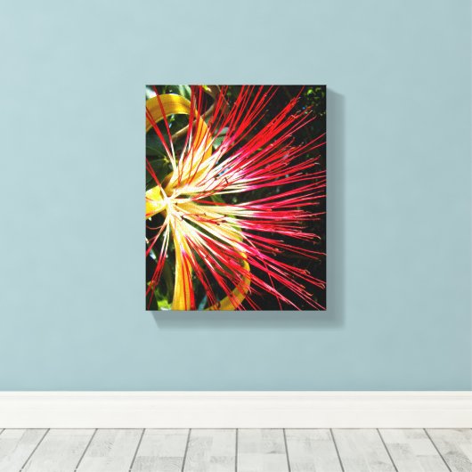 Pachira Aquatica Canvas Afdruk (Insitu (Houten vloer))