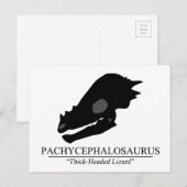 Pachycephalosaurus Briefkaart (Voorkant / Achterkant)
