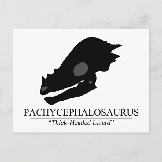 Pachycephalosaurus Briefkaart (Voorkant)