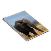 Pachyderm-laptop Notitieboek (Rechterzijde)