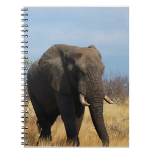 Pachyderm-laptop Notitieboek