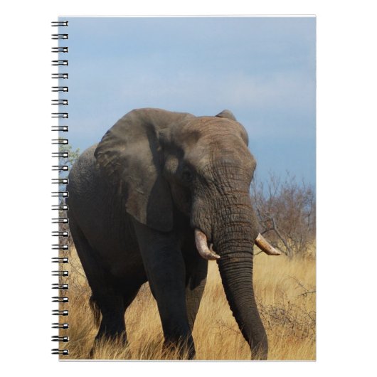 Pachyderm-laptop Notitieboek (Voorkant)