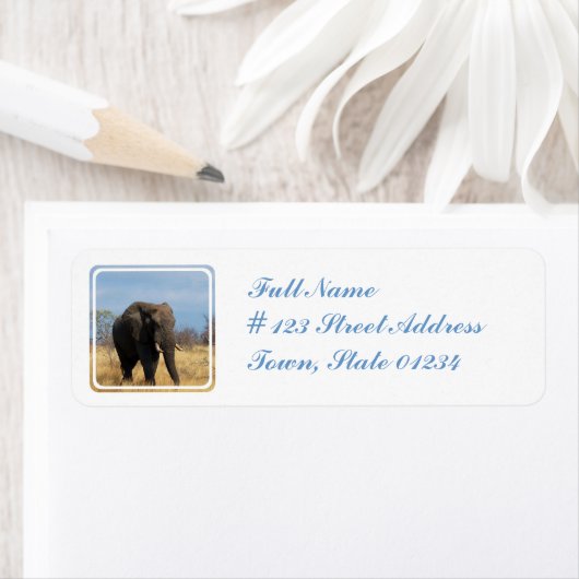 Pachyderm Mailing Label (Insitu)