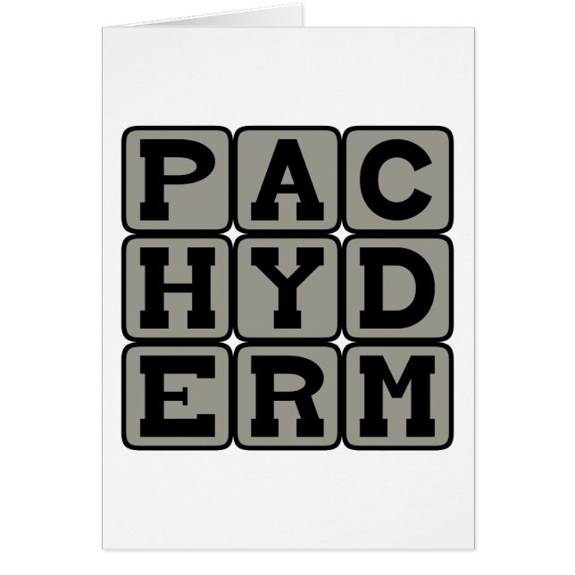 Pachyderm, olifant (Voorkant)