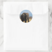 Pachyderm Stickers (Tas)