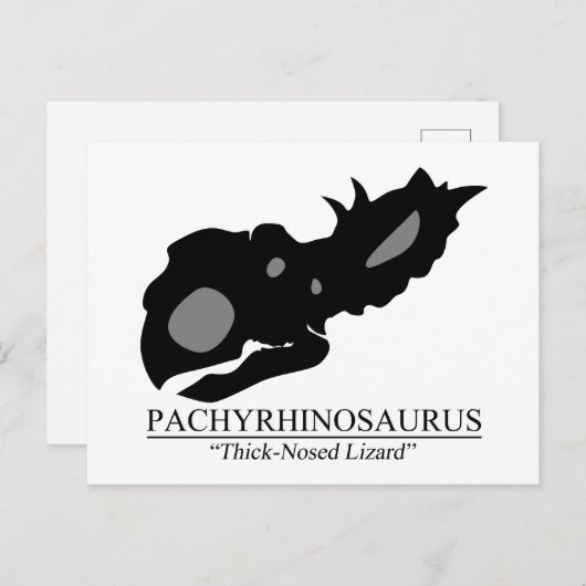 Pachyrhinosaurus Briefkaart (Voorkant / Achterkant)
