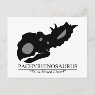 Pachyrhinosaurus Briefkaart