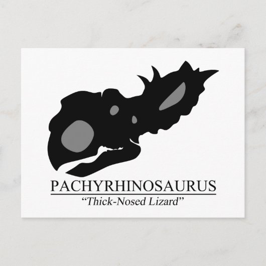 Pachyrhinosaurus Briefkaart (Voorkant)
