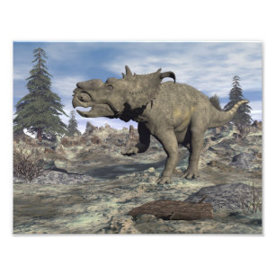 Pachyrhinosaurus dinosaurus wandelend - 3D renderi Foto Afdruk