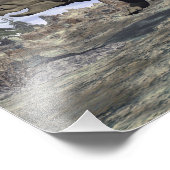 Pachyrhinosaurus dinosaurus wandelend - 3D renderi Foto Afdruk (Hoek)