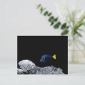 Pacific Blue Tang Briefkaart (Staand voorkant)