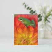 Pacific boomkikker op bloemen briefkaart (Staand voorkant)