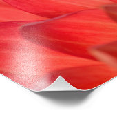 Pacific boomkikker op bloemen in onze tuin foto afdruk (Hoek)