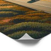 Pacific Coast Highway Eagle Poster (Hoek)