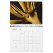 Pacific Coast Marine Life Calendar Kalender (Feb 2027)