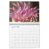 Pacific Coast Marine Life Calendar Kalender (Jan 2027)