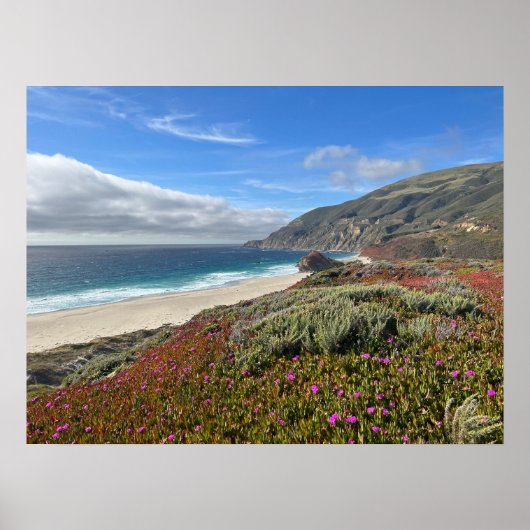 Pacific Coast Poster (Voorkant)