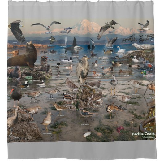 Pacific Coast Shower Curtain Douchegordijn (Voorkant)