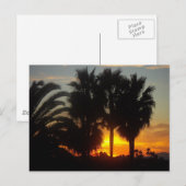 Pacific Coast Sunset Briefkaart (Voorkant / Achterkant)