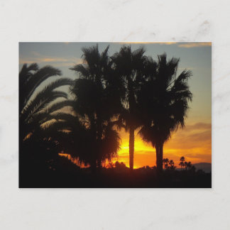 Pacific Coast Sunset Briefkaart