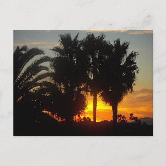 Pacific Coast Sunset Briefkaart (Voorkant)
