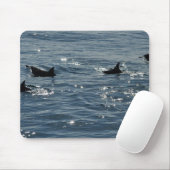 Pacific Common Dolphin Mousepad Muismat (Met muis)
