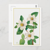 Pacific Dogwood  Botanische Illustratie Briefkaart (Voorkant / Achterkant)