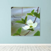 Pacific Dogwood Canvas Afdruk (Insitu (Houten vloer))