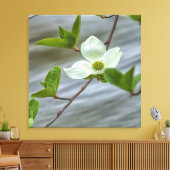 Pacific Dogwood Canvas Afdruk (Insitu (Woonkamer))