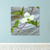 Pacific Dogwood Canvas Afdruk (Insitu (Houten vloer))