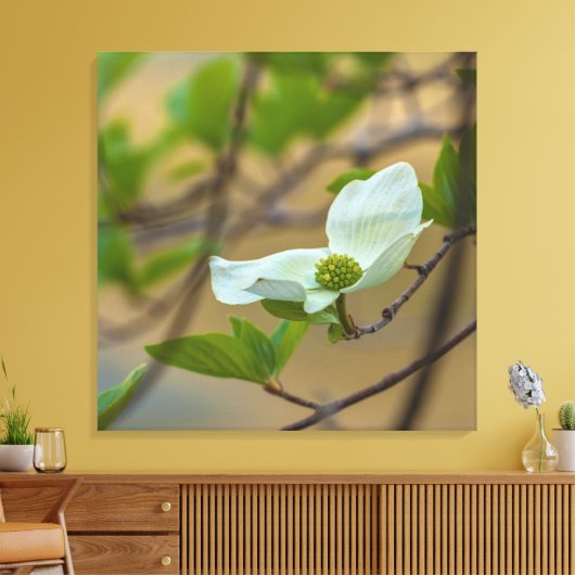 Pacific Dogwood Canvas Afdruk (Insitu (Woonkamer))