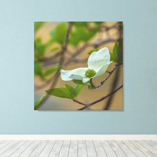 Pacific Dogwood Canvas Afdruk (Insitu (Houten vloer))