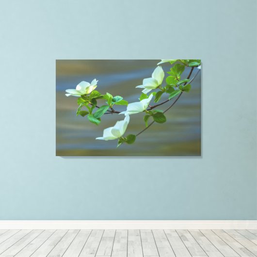 Pacific Dogwoods Canvas Afdruk (Insitu (Houten vloer))