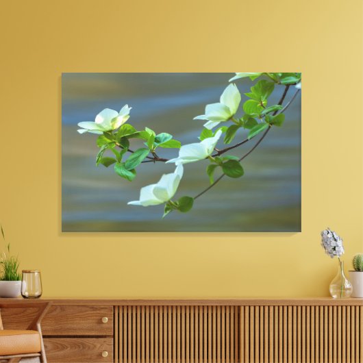 Pacific Dogwoods Canvas Afdruk (Insitu (Woonkamer))