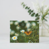 Pacific Fritillary Butterfly Briefkaart (Staand voorkant)