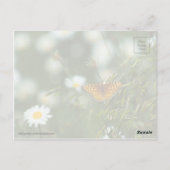Pacific Fritillary Butterfly Briefkaart (Achterkant)