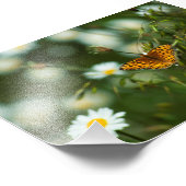 Pacific Fritillary Butterfly Foto Afdruk (Hoek)