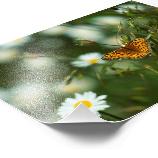 Pacific Fritillary Butterfly Foto Afdruk (Hoek)