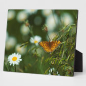 Pacific Fritillary Butterfly Fotoplaat (Zijkant)