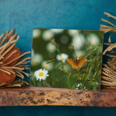 Pacific Fritillary Butterfly Fotoplaat (Zijkant)