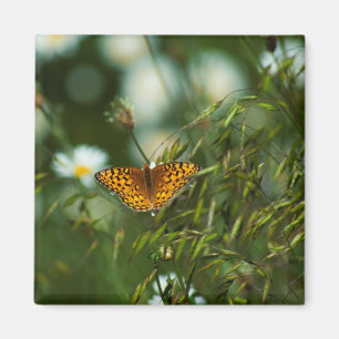 Pacific Fritillary Butterfly Magneet
