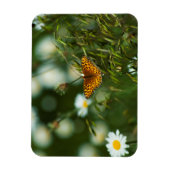 Pacific Fritillary Butterfly Magneet (Verticaal)