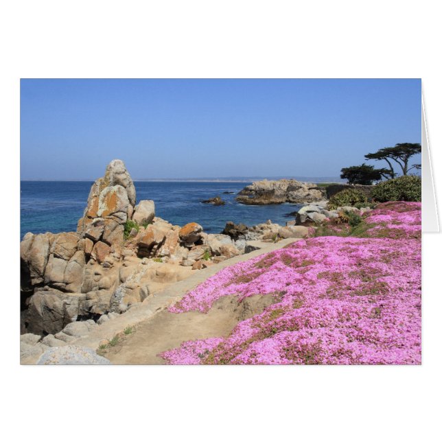 Pacific Grove (Voorkant Horizontaal)