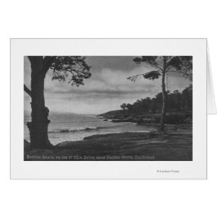 Pacific Grove, CA - Pebble Beach op 17 Mile Driv