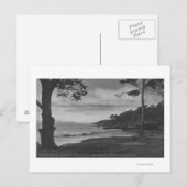 Pacific Grove, CA - Pebble Beach op 17 Mile Driv Briefkaart (Voorkant / Achterkant)