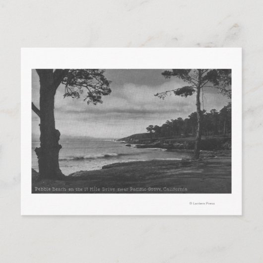 Pacific Grove, CA - Pebble Beach op 17 Mile Driv Briefkaart (Voorkant)