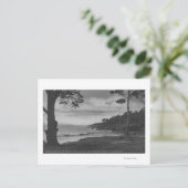 Pacific Grove, CA - Pebble Beach op 17 Mile Driv Briefkaart (Staand voorkant)