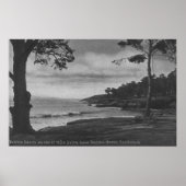 Pacific Grove, CA - Pebble Beach op 17 Mile Driv Poster (Voorkant)