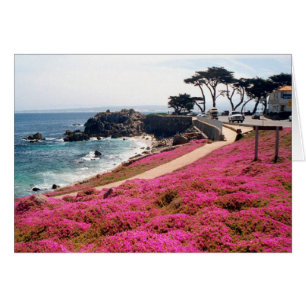 Pacific Grove-Monterey Calif